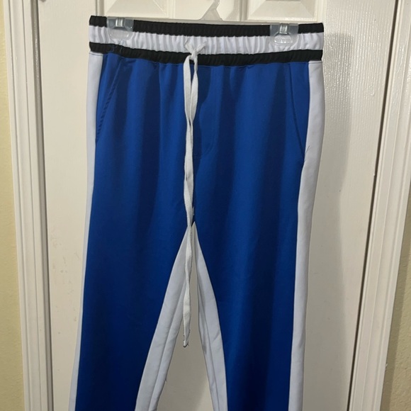Blue Urban Stripe Sweatpants (Large) - Picture 1 of 4